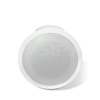 2N Net Speaker Flush-mounted Ceiling Speaker