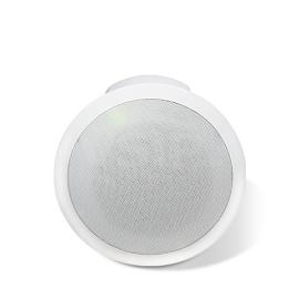 2N Net Speaker Flush-mounted Ceiling Speaker